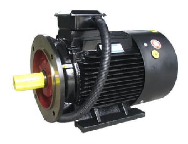 LMYS系列压缩机专用三相异步电动机.jpg